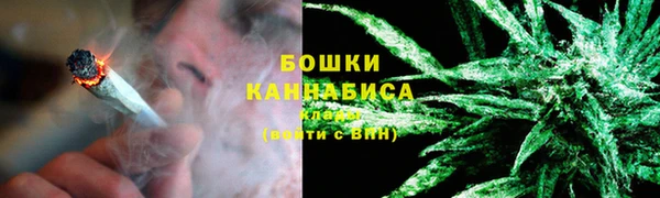 трава Аркадак