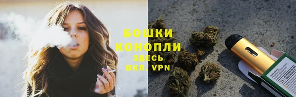 трава Аркадак