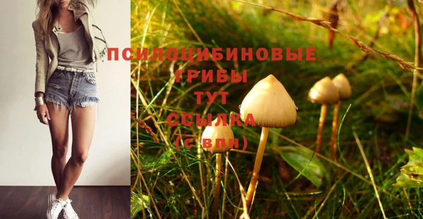 spice Армянск