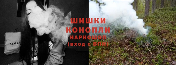 трава Аркадак