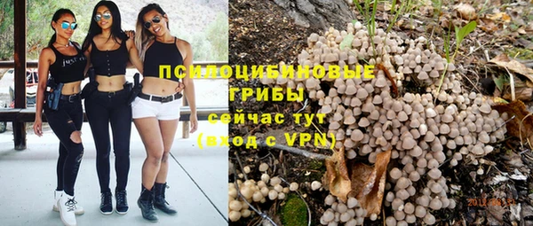 трава Аркадак
