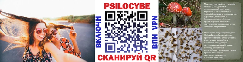 купить закладку  Углич  Псилоцибиновые грибы мухоморы 